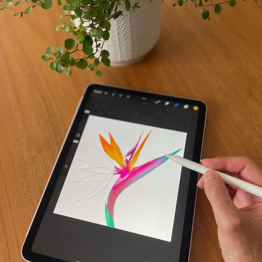 logo et carte de visite